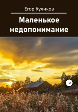 Егор Куликов Маленькое недопонимание обложка книги