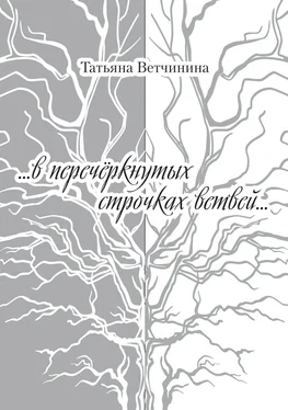 Татьяна Ветчинина …В перечёркнутых строчках ветвей… обложка книги