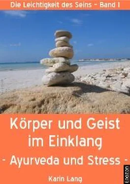 Karin Lang Körper und Geist im Einklang обложка книги