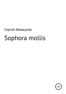 Сергей Айнакулов Sophora mollis обложка книги
