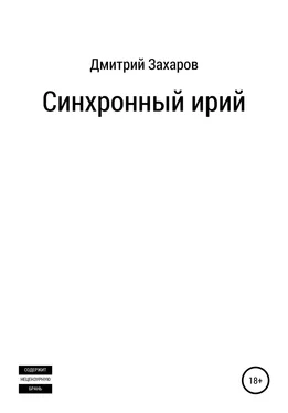 Дмитрий Захаров Синхронный ирий обложка книги