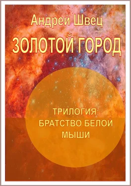 Андрей Швец Братство белой мыши. Золотой город обложка книги