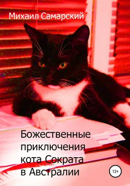 Михаил Самарский Божественные приключения кота Сократа в Австралии обложка книги