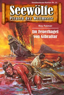 Roy Palmer Seewölfe - Piraten der Weltmeere 71 обложка книги