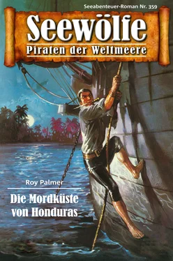 Roy Palmer Seewölfe - Piraten der Weltmeere 359 обложка книги