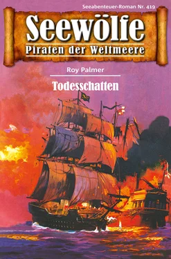 Roy Palmer Seewölfe - Piraten der Weltmeere 419 обложка книги