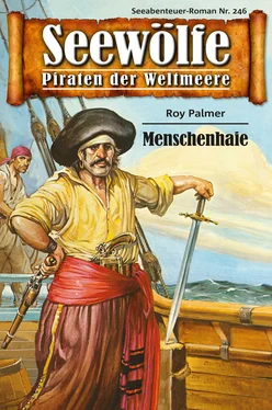 Roy Palmer Seewölfe - Piraten der Weltmeere 246 обложка книги