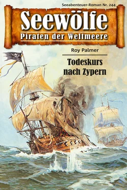 Roy Palmer Seewölfe - Piraten der Weltmeere 244 обложка книги