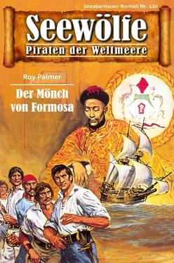 Roy Palmer Seewölfe - Piraten der Weltmeere 120 обложка книги