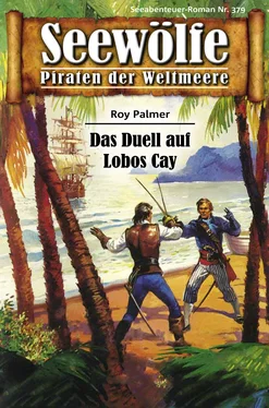 Roy Palmer Seewölfe - Piraten der Weltmeere 379 обложка книги