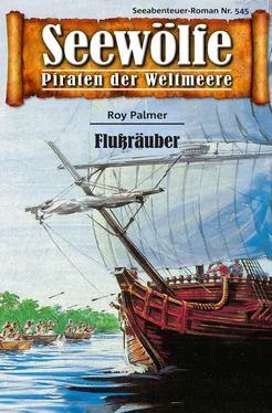 Roy Palmer Seewölfe - Piraten der Weltmeere 545 обложка книги