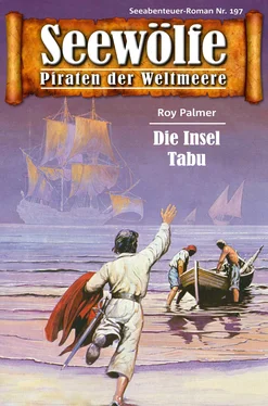 Roy Palmer Seewölfe - Piraten der Weltmeere 197 обложка книги