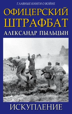 Александр Пыльцын Офицерский штрафбат. Искупление обложка книги