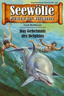 Fred McMason Seewölfe - Piraten der Weltmeere 245 обложка книги