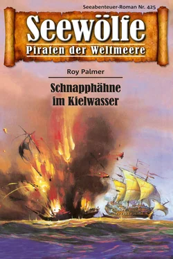 Roy Palmer Seewölfe - Piraten der Weltmeere 425 обложка книги