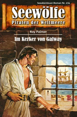 Roy Palmer Seewölfe - Piraten der Weltmeere 274 обложка книги