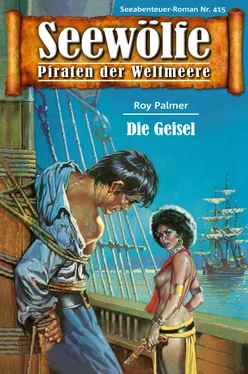 Roy Palmer Seewölfe - Piraten der Weltmeere 415 обложка книги
