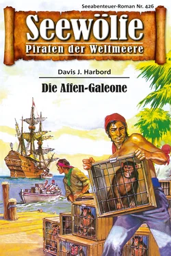 Davis J.Harbord Seewölfe - Piraten der Weltmeere 426 обложка книги