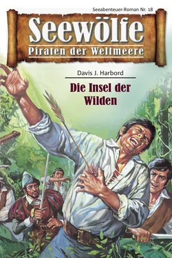 Davis J. Harbord Seewölfe - Piraten der Weltmeere 18 обложка книги