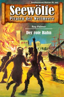 Roy Palmer Seewölfe - Piraten der Weltmeere 445 обложка книги