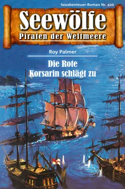 Roy Palmer Seewölfe - Piraten der Weltmeere 420 обложка книги