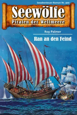 Roy Palmer Seewölfe - Piraten der Weltmeere 400 обложка книги