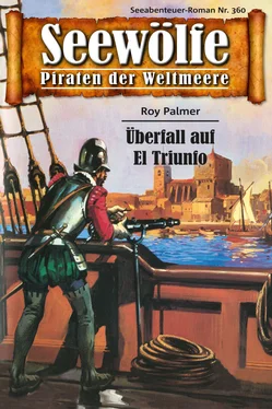 Roy Palmer Seewölfe - Piraten der Weltmeere 360 обложка книги