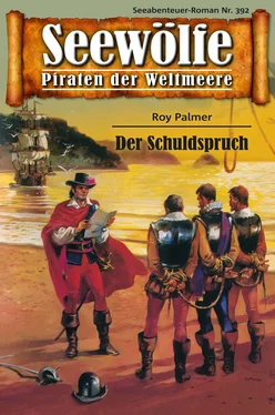 Roy Palmer Seewölfe - Piraten der Weltmeere 392 обложка книги