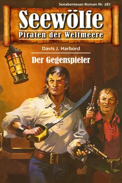 Davis J.Harbord Seewölfe - Piraten der Weltmeere 287 обложка книги