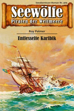 Roy Palmer Seewölfe - Piraten der Weltmeere 409 обложка книги