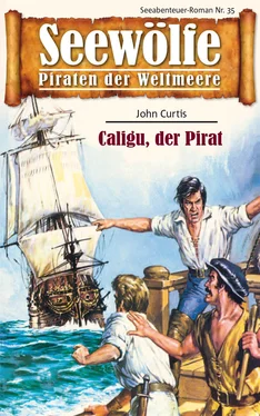 John Curtis Seewölfe - Piraten der Weltmeere 35 обложка книги