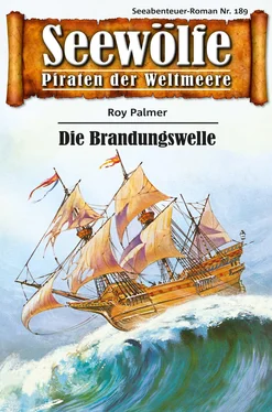 Roy Palmer Seewölfe - Piraten der Weltmeere 189 обложка книги