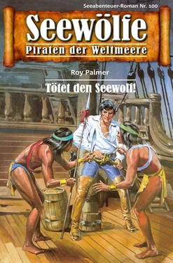 Roy Palmer Seewölfe - Piraten der Weltmeere 100 обложка книги