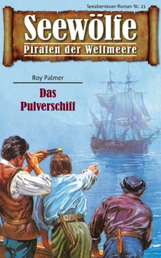 Roy Palmer Seewölfe - Piraten der Weltmeere 21 обложка книги