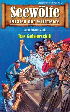 John Roscoe Craig Seewölfe - Piraten der Weltmeere 26 обложка книги