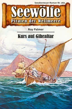 Roy Palmer Seewölfe - Piraten der Weltmeere 269 обложка книги