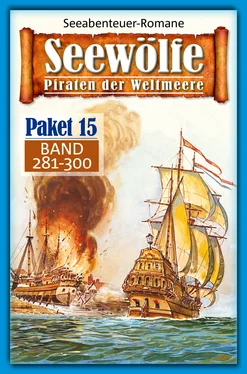 Roy Palmer Seewölfe Paket 15 обложка книги