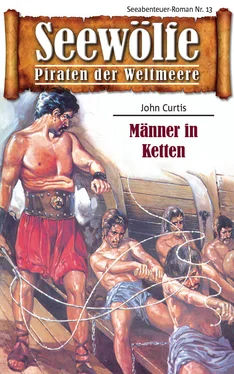 John Curtis Seewölfe - Piraten der Weltmeere 13 обложка книги