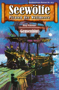 Roy Palmer Seewölfe - Piraten der Weltmeere 413 обложка книги