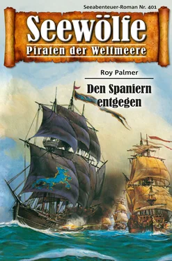 Roy Palmer Seewölfe - Piraten der Weltmeere 401 обложка книги