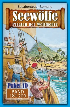 Roy Palmer Seewölfe Paket 10 обложка книги