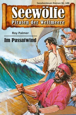 Roy Palmer Seewölfe - Piraten der Weltmeere 188 обложка книги