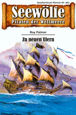 Roy Palmer Seewölfe - Piraten der Weltmeere 462 обложка книги
