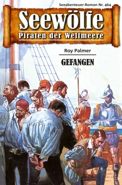 Roy Palmer Seewölfe - Piraten der Weltmeere 464 обложка книги