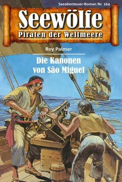 Roy Palmer Seewölfe - Piraten der Weltmeere 164 обложка книги