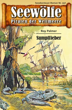 Roy Palmer Seewölfe - Piraten der Weltmeere 337 обложка книги