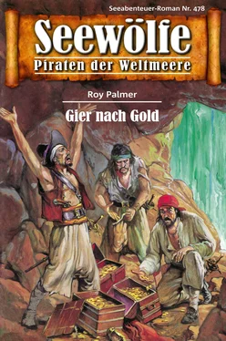 Roy Palmer Seewölfe - Piraten der Weltmeere 478 обложка книги