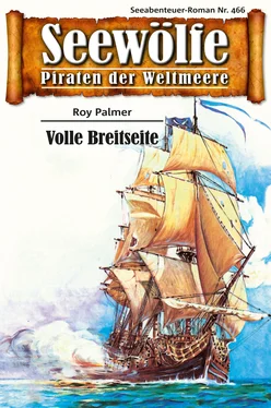 Roy Palmer Seewölfe - Piraten der Weltmeere 466 обложка книги