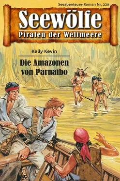 Kelly Kevin Seewölfe - Piraten der Weltmeere 220 обложка книги