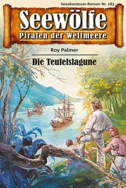 Roy Palmer Seewölfe - Piraten der Weltmeere 183 обложка книги